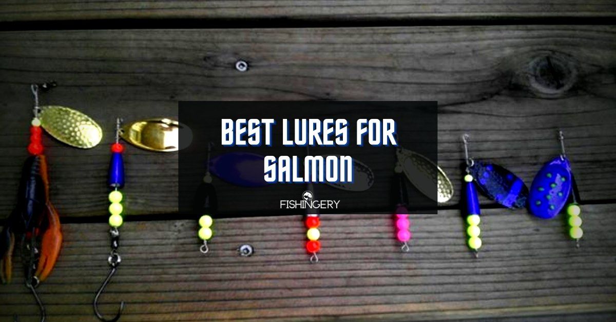 Best Salmon Lures