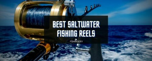 Best Saltwater Fishing Reels In 2023 (The Top-Notch Reels)