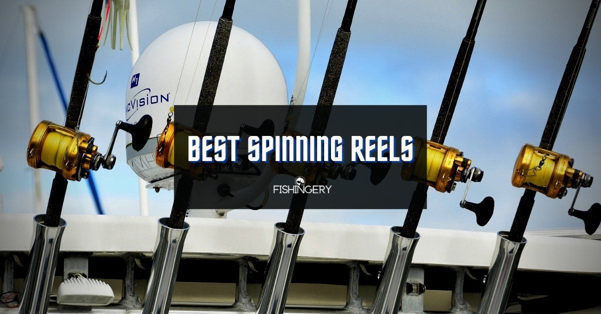 Best Spinning Reel