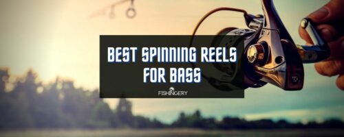 Best Spinning Reels For Bass Fishing In 2023 (Updated Guide)