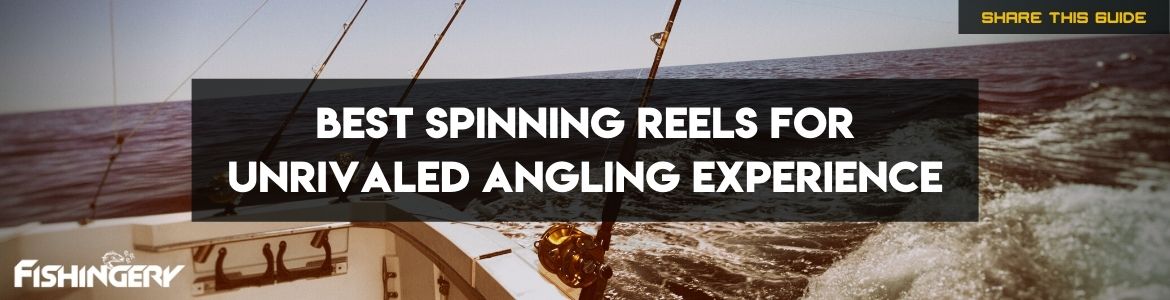 Best Spinning Reels