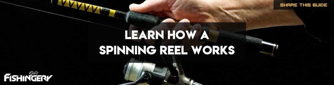 Cover Image of How a Spinning Reel Works