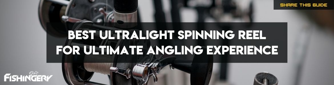 Cover Image of best ultralight spinning reel