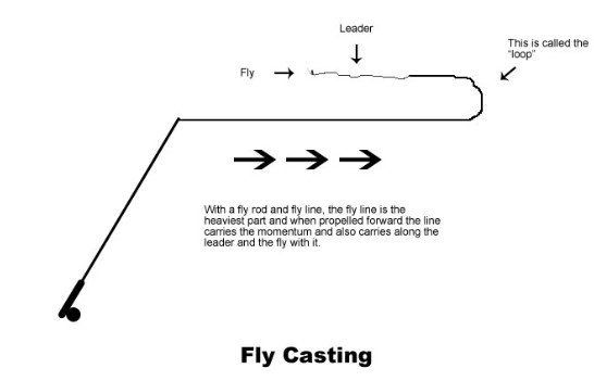 Image Showing how to cast in Fly Fishing Method