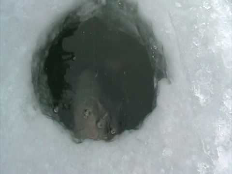 Image of Ice Fishing Hole