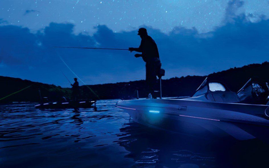 Person Fishing in Night