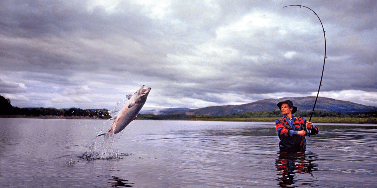 Person Pulling out a Fish From Sea