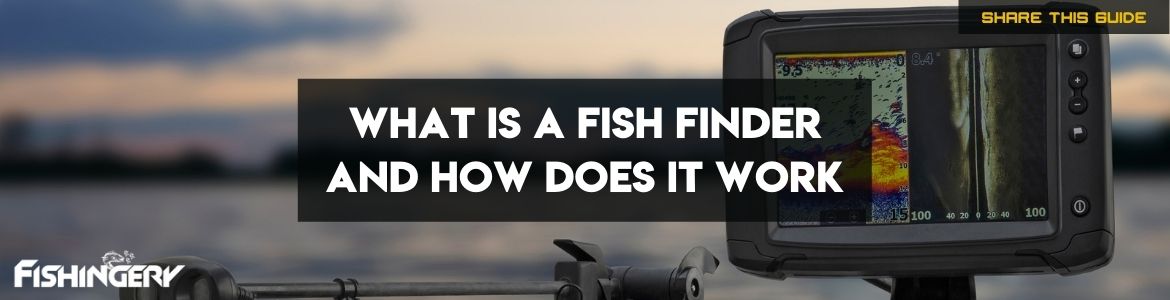 cover image of how do fish finders work