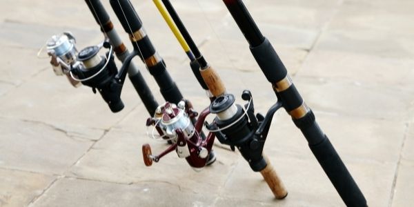 image of four fishing rods
