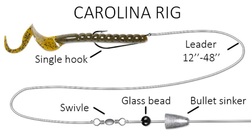 image of the Carolina Rig