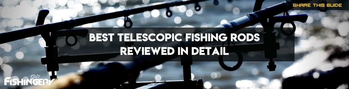 Best Telescopic Fishing Rods