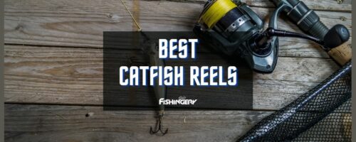Top 6 Best Catfish Reels For Unmatchable Experience