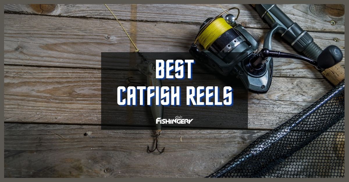 Best Catfish Reel