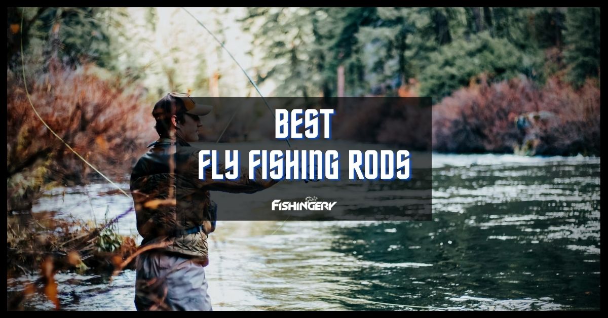 Best Fly Rods
