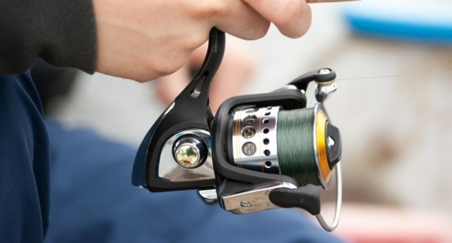 Image of A Spinning Reels