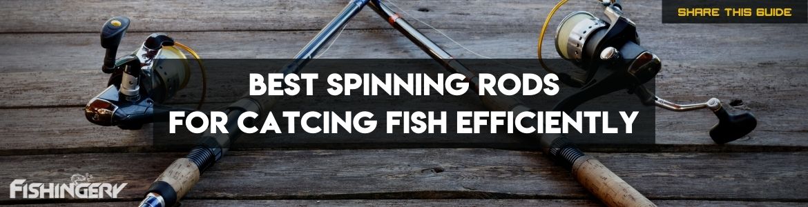 Best Spinning Rods