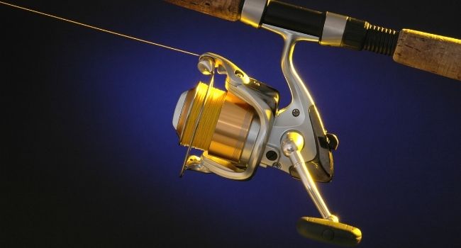image of a Spinning Reel