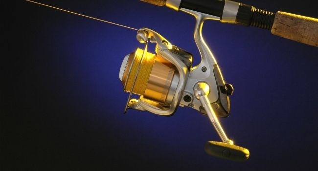 side image of a spinning reel