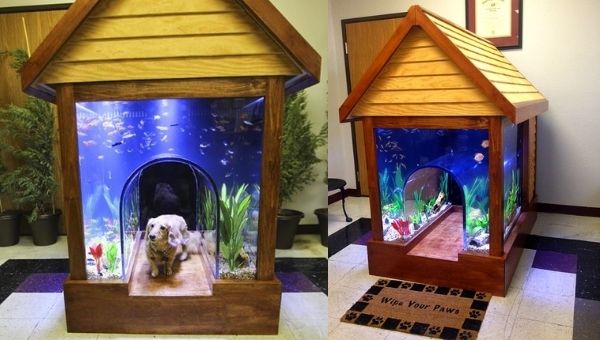 Doghouse Fish Tank