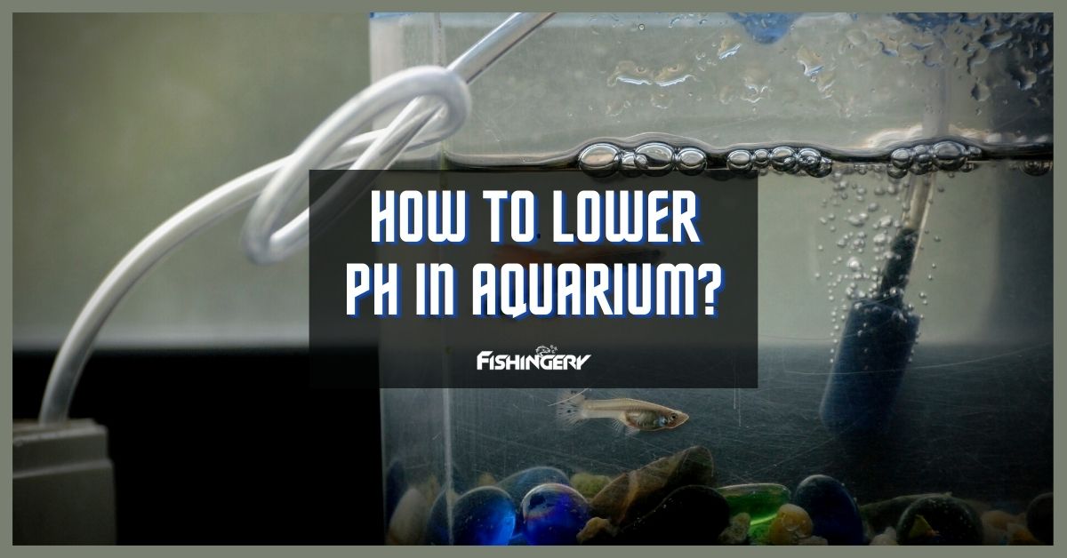 How To Lower Ph In Aquarium