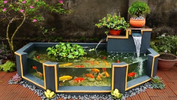 Image of Outdoor Fish Tank Pond