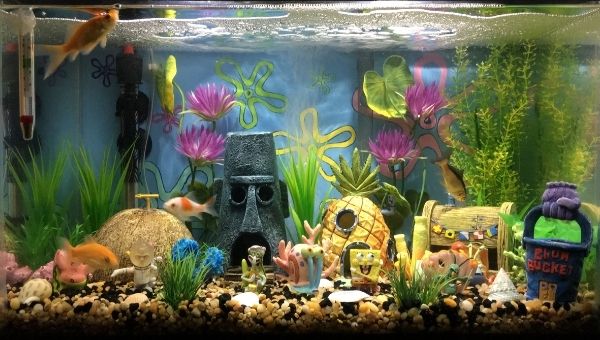 Sponge bob fish tank idea