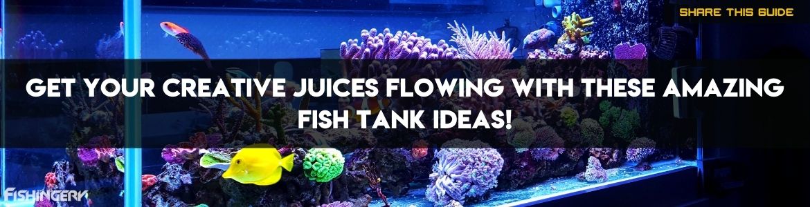 aquarium ideas