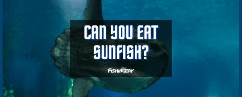 Can You Eat Sunfish? Are These Fish Safe To Eat?
