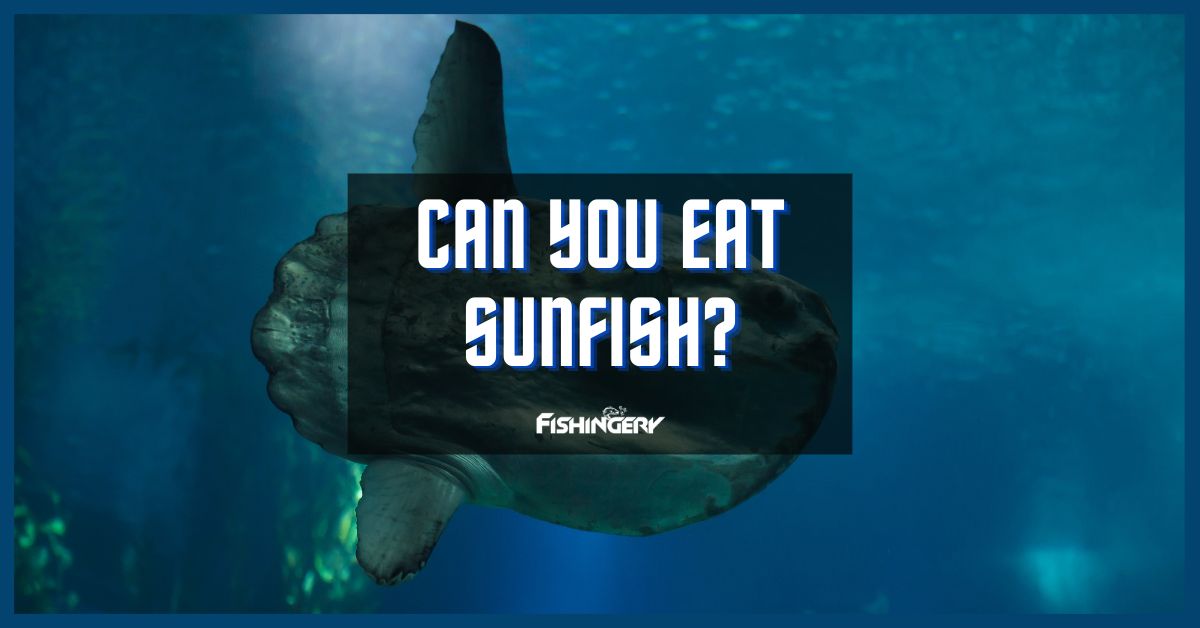 Can You Eat Sunfish