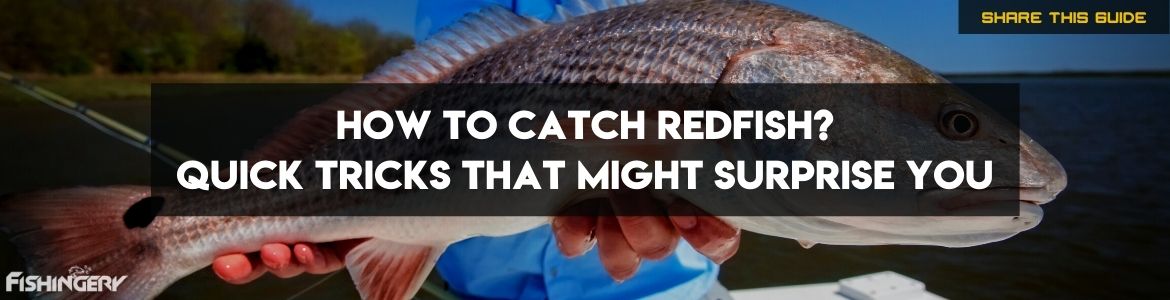 how to catch big redfish