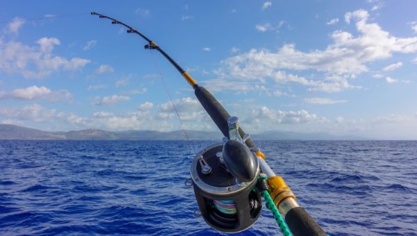 image of a medium action fishing rod