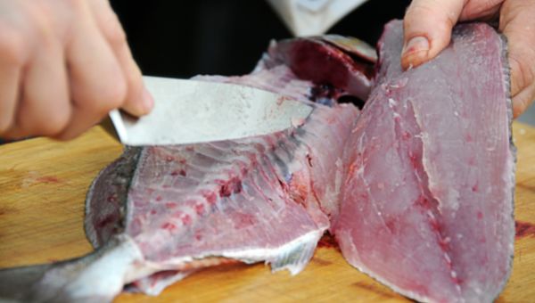 image of person making a Filet