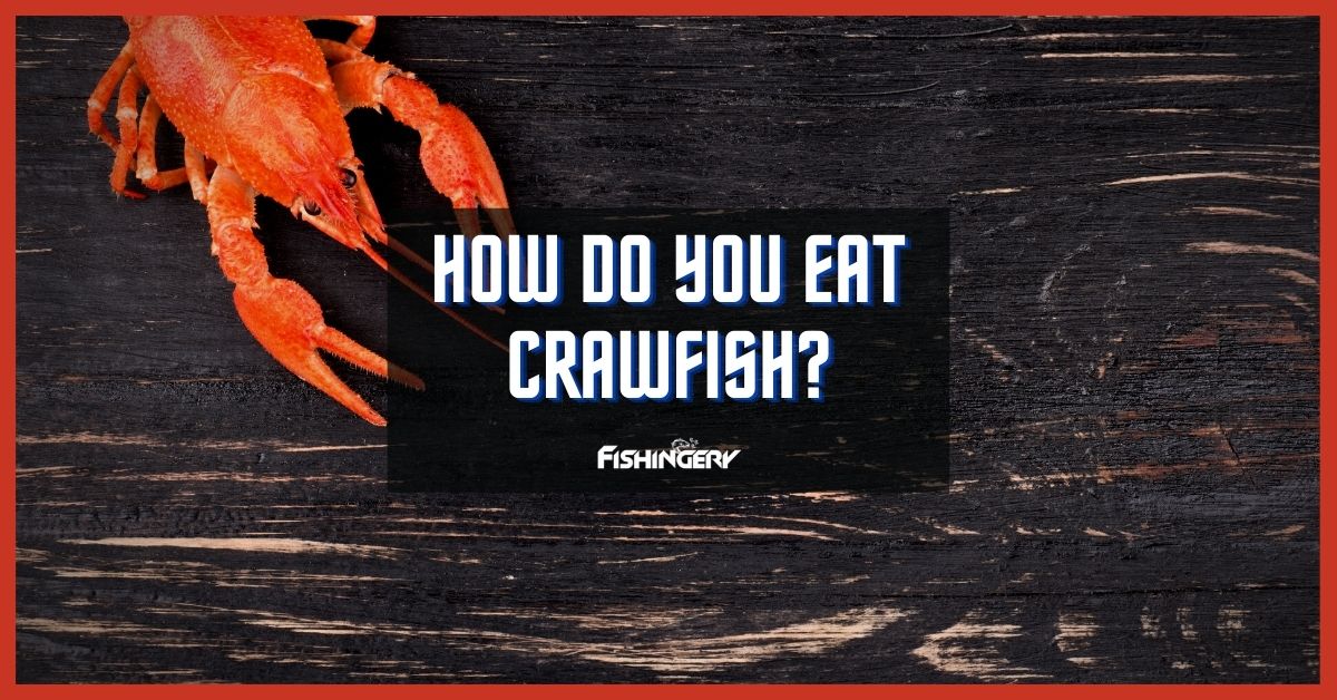How to Eat Crawfish