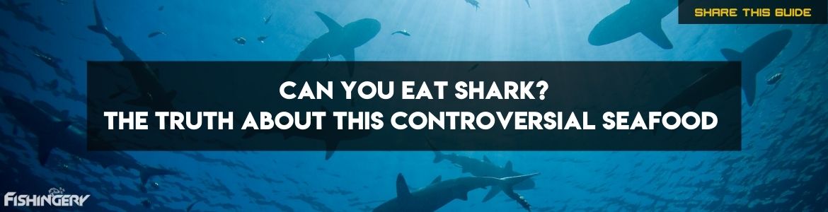 can you eat shark meat