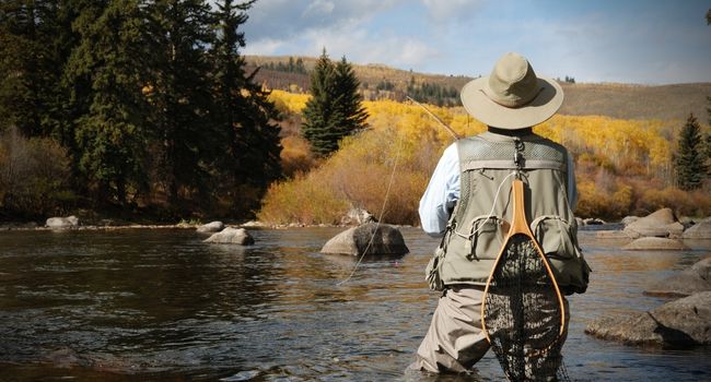 Image of a person Fly Fishing in water