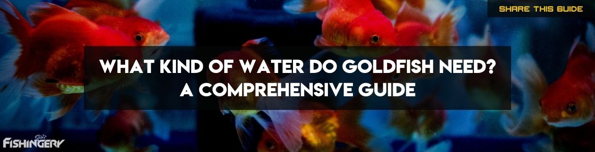 Explaining What Kind Of Water Do Goldfish Need
