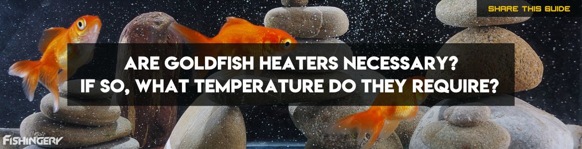 Guide Do Goldfish Need A Heater