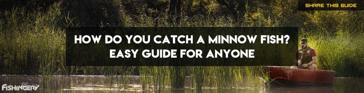 How To Catch Minnows Tips and Tricks