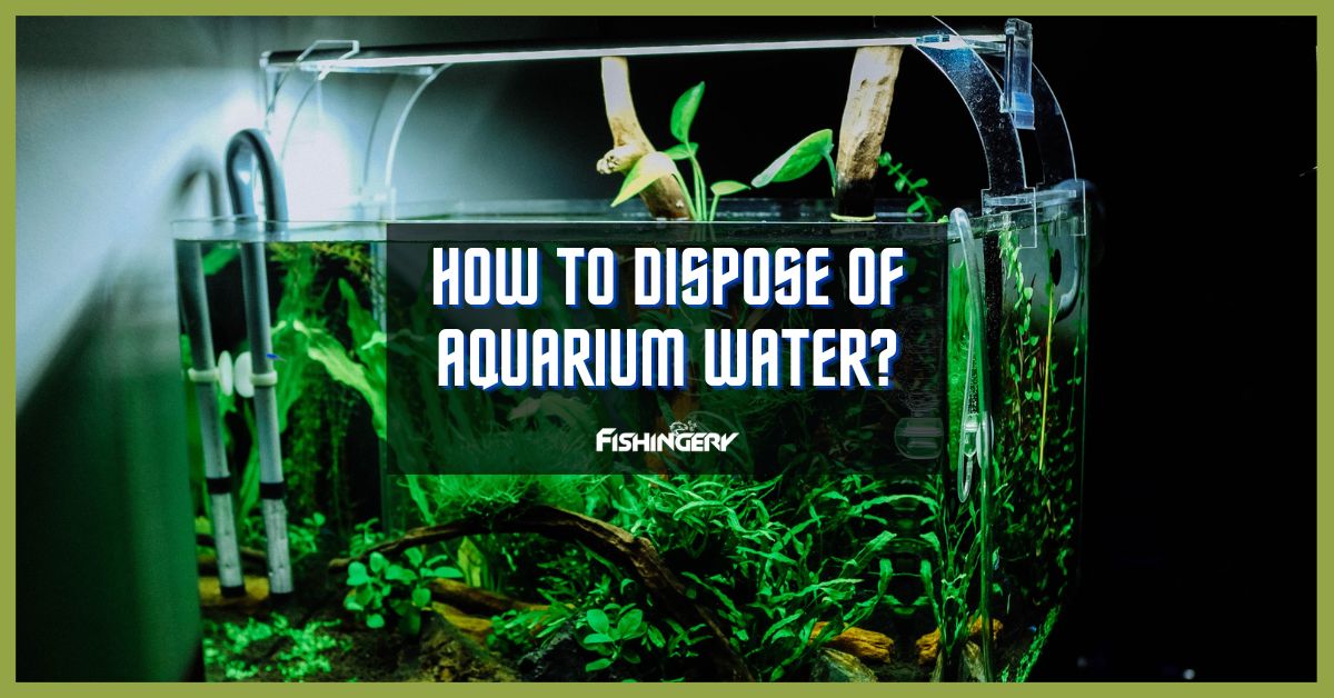 How To Dispose Of Aquarium Water