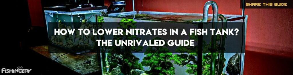 How To Lower Nitrates In A Fish Tank The Unrivaled Guide