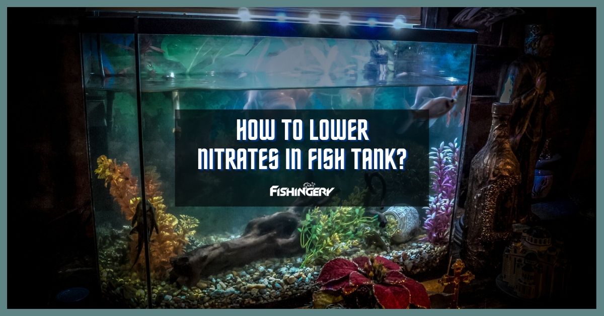 How To Lower Nitrates In Fish Tank