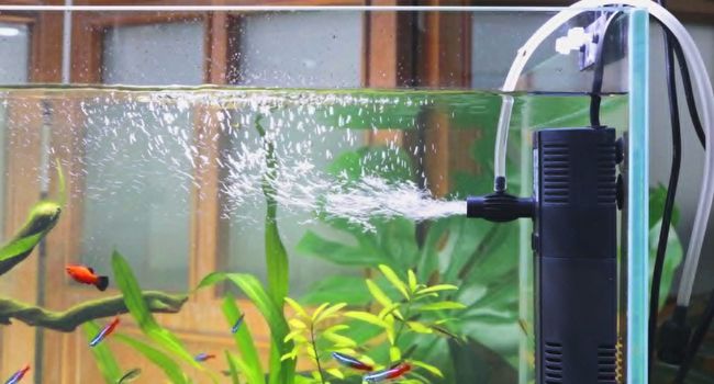 image of fish tank filter